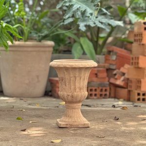 Cúp múi khía, D25xC34 cm