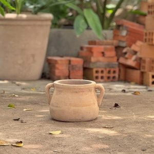 Bình hai tai miệng trơn, D18xC17 cm