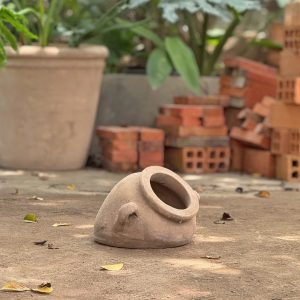 Bình đổ hai tai, D16xC18 cm