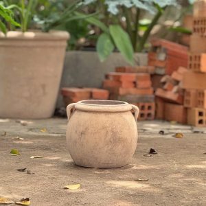 Bình hai tai gờ miệng, D20xC20 cm