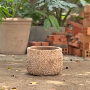 Bầu lá, D27xC22 cm