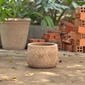 Bầu lá, D45xC40 cm