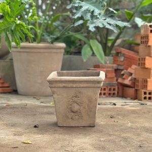 Vuông vát quả Olive, D31xC29 cm