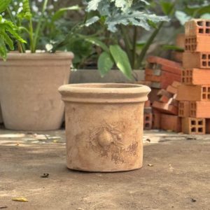 Trụ quả Olive, D36xC31 cm