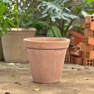 Gờ đỏ mọt cưa, D21xC20 cm